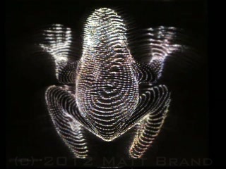 frog hologram video